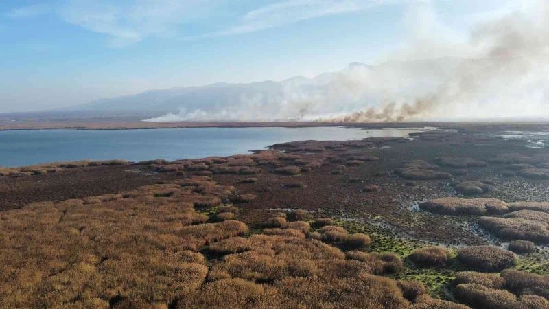 Eber Gölü’nde yine yangınlar başladı
