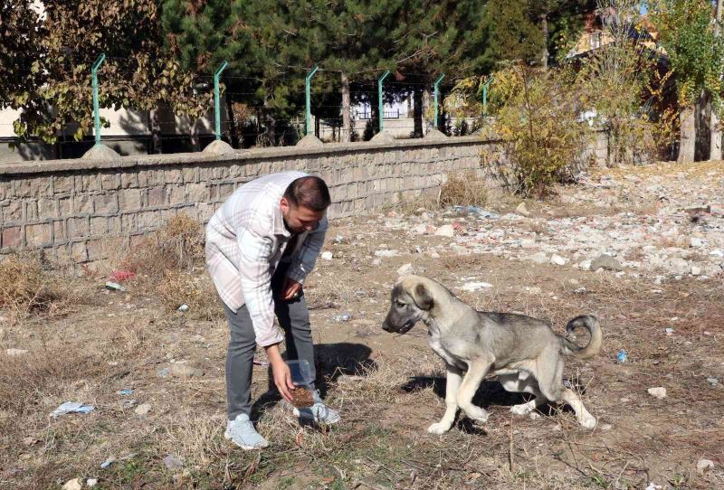 Hedefi ilçede aç hayvan bırakmamak
