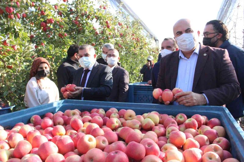 Türkiye’nin en büyük elma bahçesinde son hasat yapıldı
