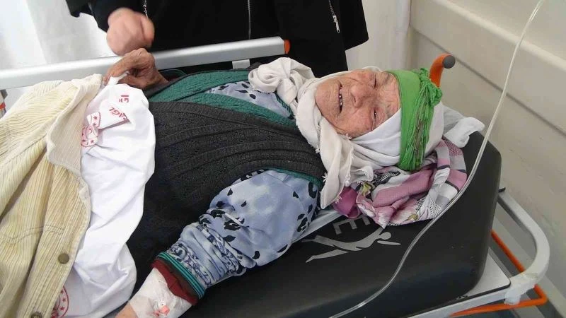 91 yaşındaki alzheimer hastası kadın ölmemek için çukur kazıp, atkısını üstüne örtmüş
