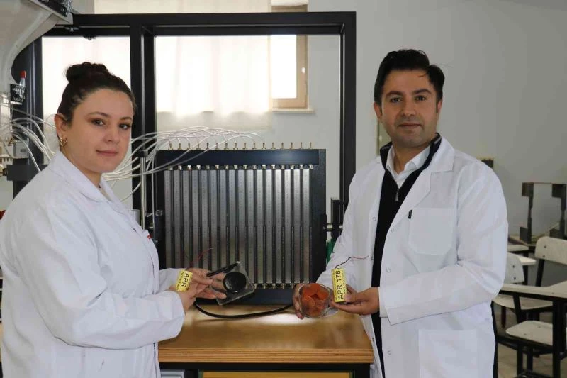 Türk bilim adamları kayısıdan roket yakıtı üretti
