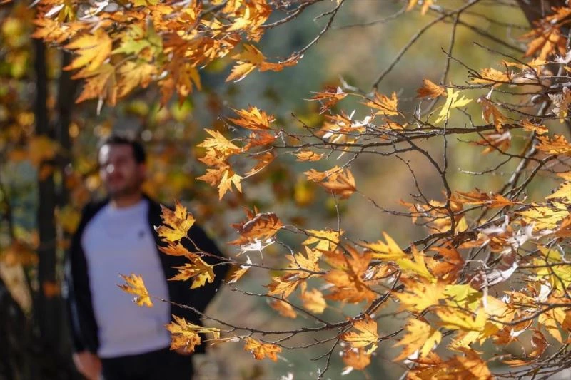 Kovada Gölü Milli Parkı her mevsim farklı güzellikler sunuyor