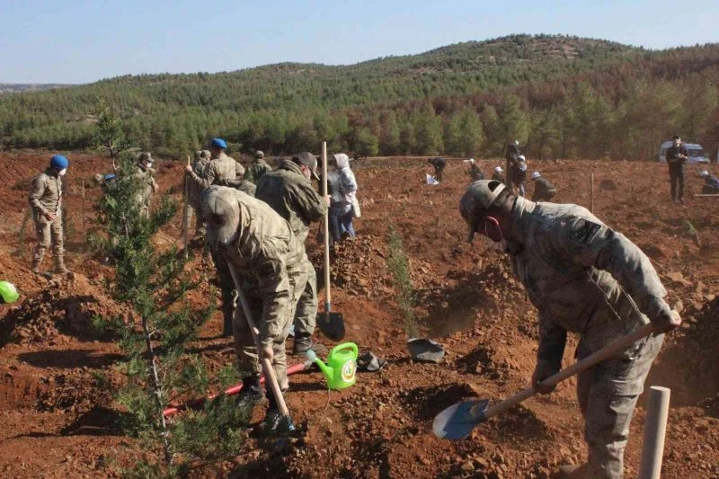 Jandarmadan fidan dikme etkinliği

