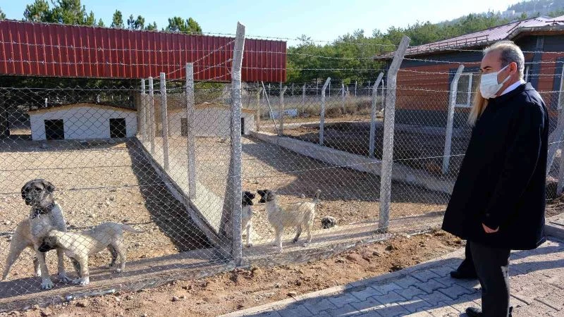 Kangallar bu yuvada korunacak
