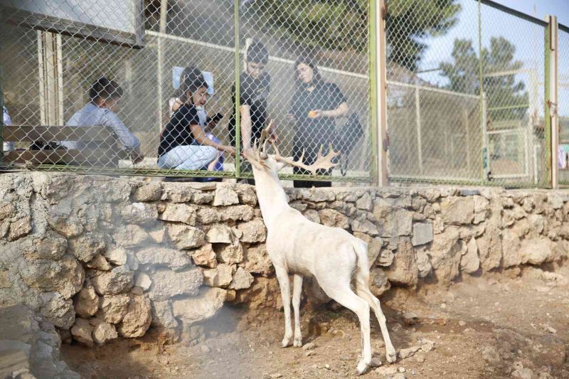 Antalya Hayvanat Bahçesi’nde ara tatil yoğunluğu
