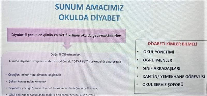 Okullarda diyabetli öğrencisi olan 1300 öğretmene eğitim
