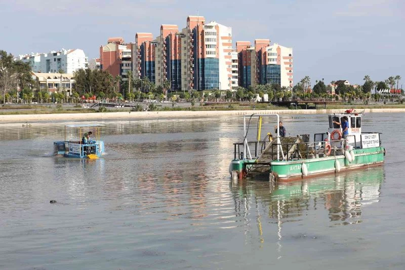 ‘Mavi Yengeç’ Boğaçayı’na indirildi
