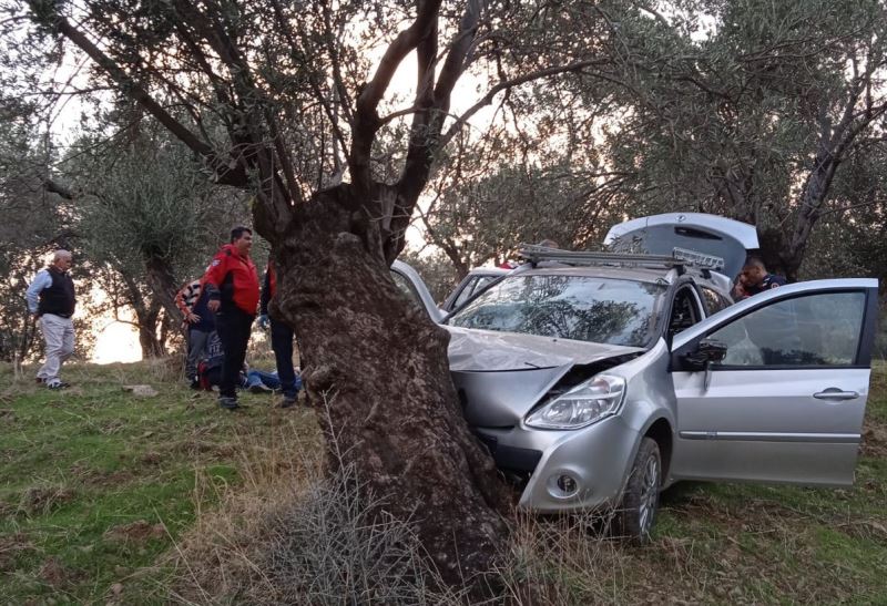 Zeytin ağacına çarparak durdu
