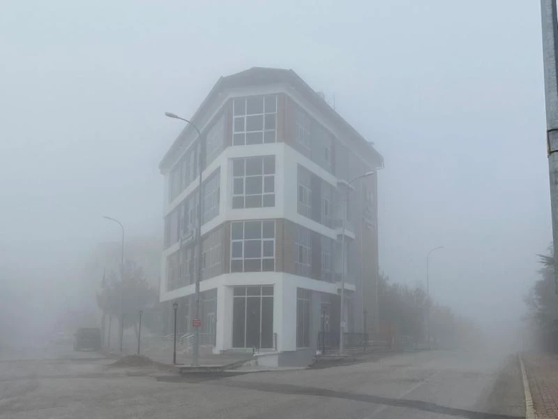 Sis Karahisar Kalesi’ni adeta görünmez hale getirdi
