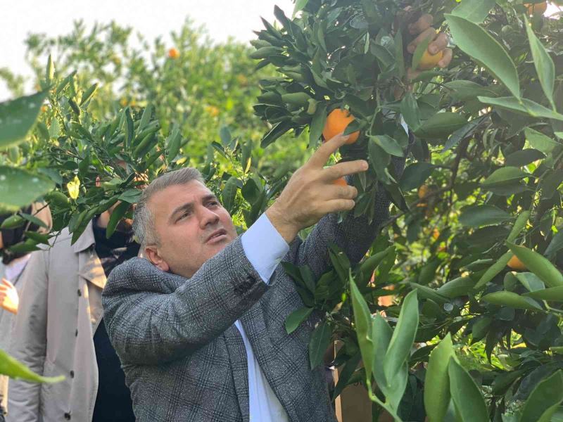 Milletvekili Mustafa Canbey’den iki günde iki hasat
