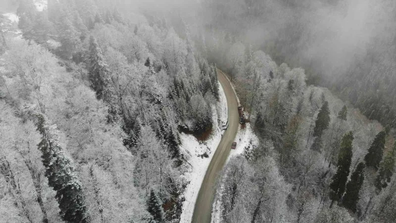 Yedigöller Milli Parkı yolu beyaz örtüyle kaplandı
