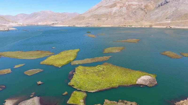 Binlerce yılda oluşan yüzen adaların su altı yapısı ilk kez görüntülendi
