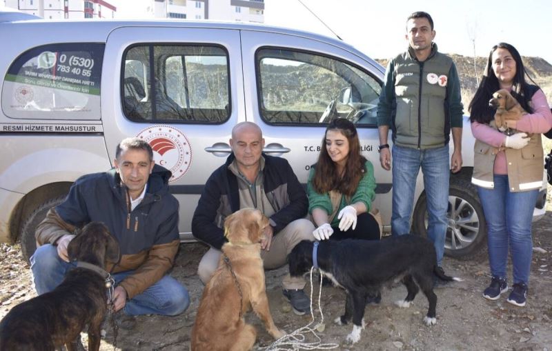 Hayvan hastalıklarıyla mücadelede yeni uygulama ’Mikroçip’
