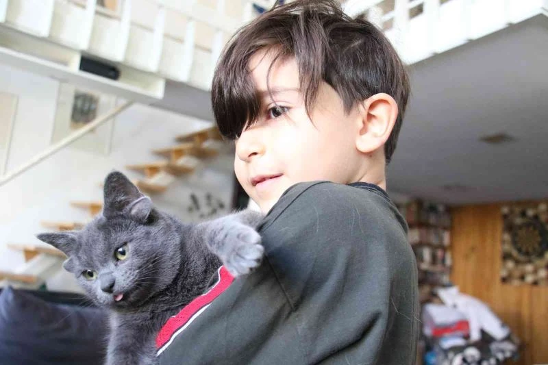 Sosyal medya fenomeni dört kulaklı kedi “Midas”ın başı sahte hesaplarla dertte
