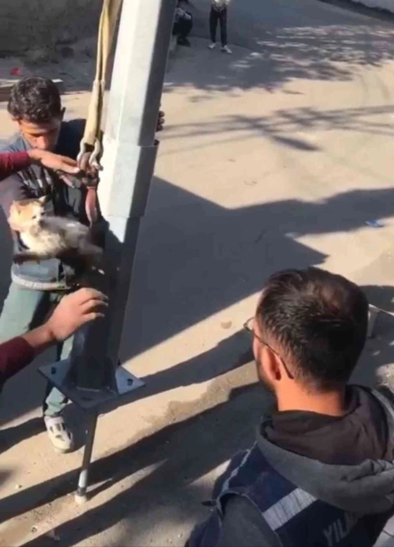 Batman’da kedi için direği yerinden söktüler
