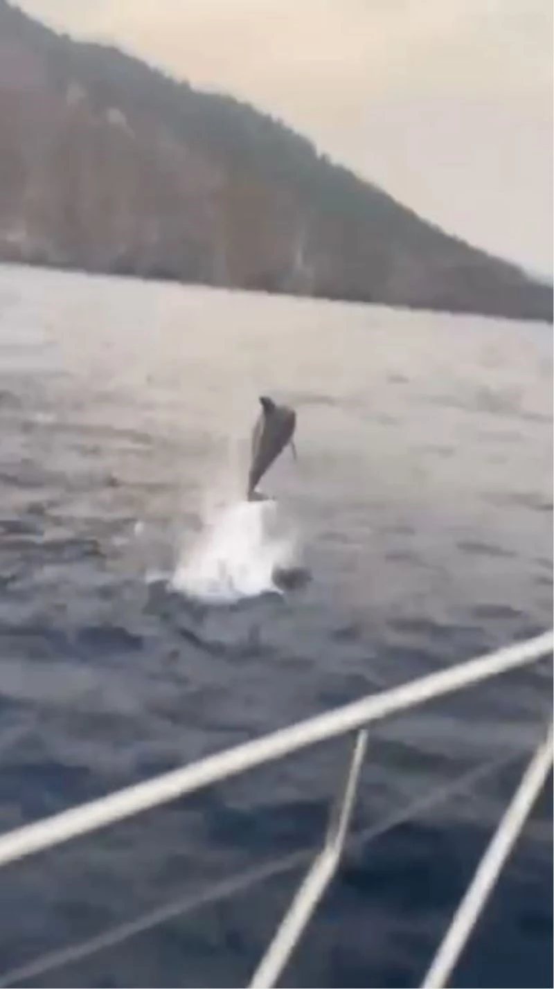 Yunusun tekne ile yarışı görsel şölen oluşturdu
