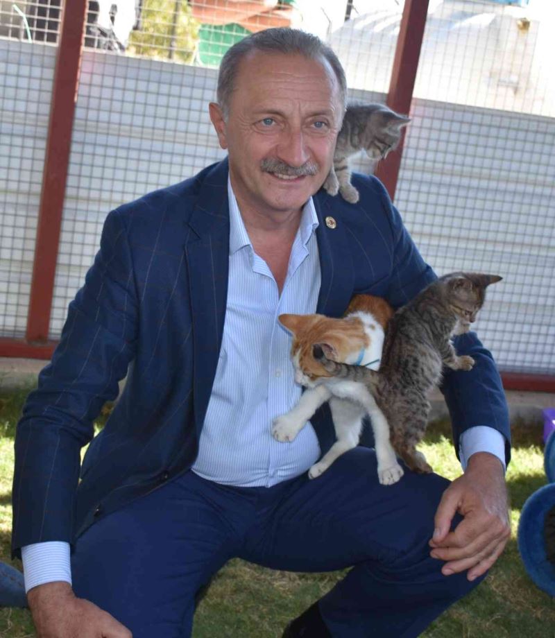 Başkan Atabay, sokak hayvanlarına yapılan kötü davranışları kınadı
