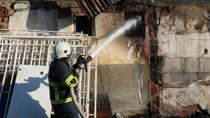 Yavru kangallar telef oldu
