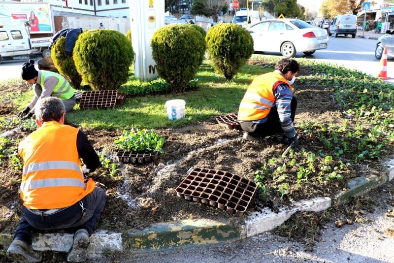 Safranbolu Belediyesinden çiçeklendirme ve ağaçlandırma çalışması
