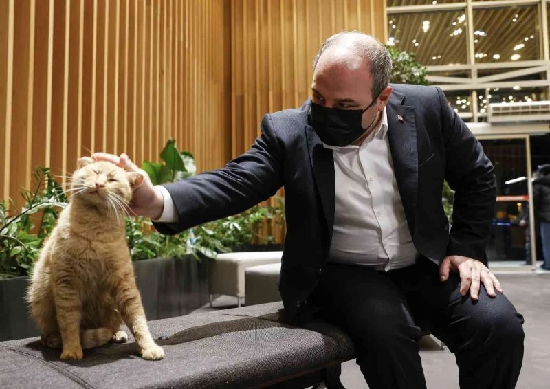 Bakan Varank, kütüphaneye pizza götürdü
