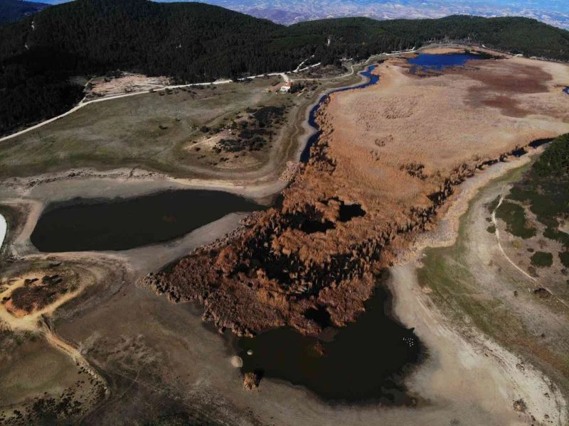Kuş cenneti Yayla Gölü kuruma noktasına geldi
