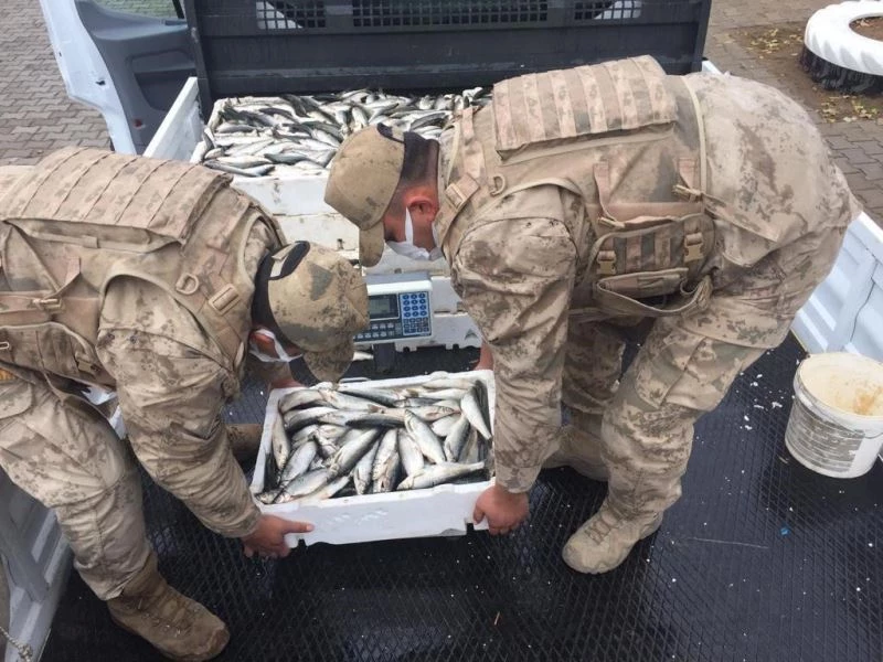 Nazik Gölü’nde kaçak avlanan 425 kilogram balığa el konuldu
