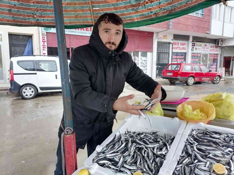 Hava koşulları hamsiyi etkiledi
