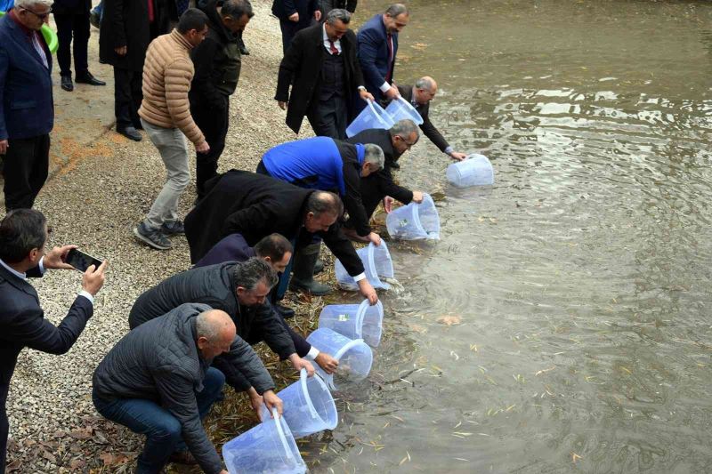 SAREM’de yetiştirilen bin 100 anaç yağ balığı, Seydişehir’de doğayla buluştu
