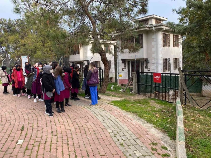 Barınağa hayvansever akını
