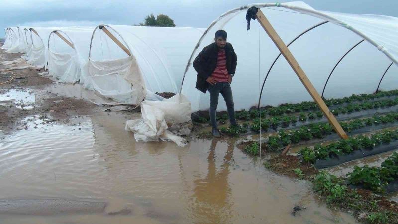 Antalya’da yağmur çilek seralarını sular içinde bıraktı
