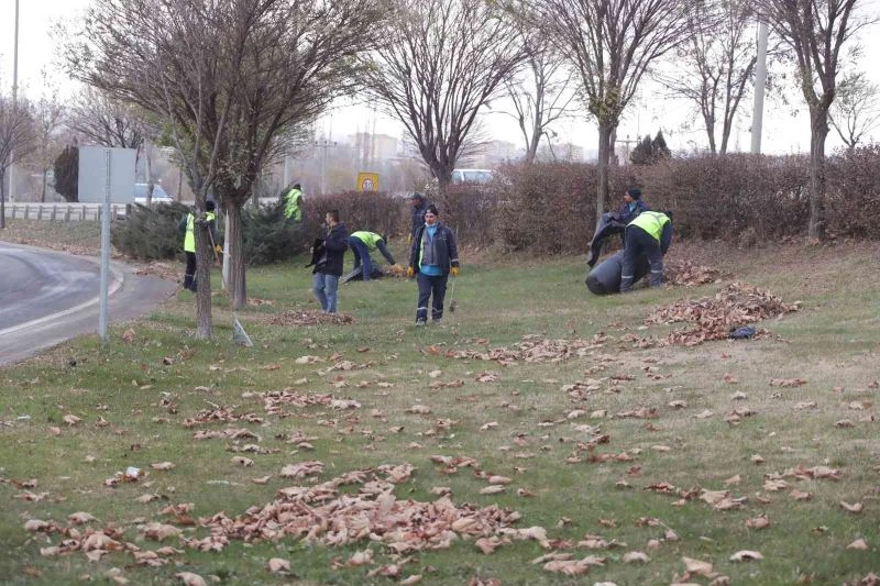 Refüj ve tretuvarlarda yabani ot temizliği
