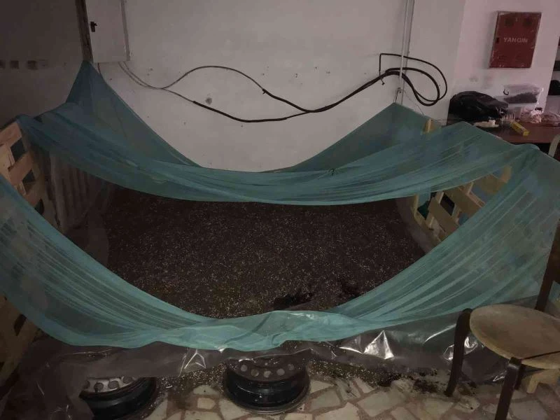 İstanbul’da tekstil atölyesinde milyonluk uyuşturucu serası: Kağıthane polisi sera kuran baba ve oğlunu yakaladı
