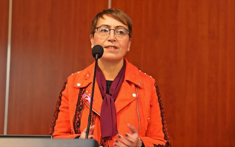 Prof. Dr. Duygu Perçin Renders: 