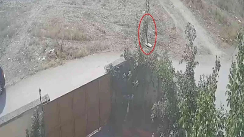 Vicdanlı hırsızlar
