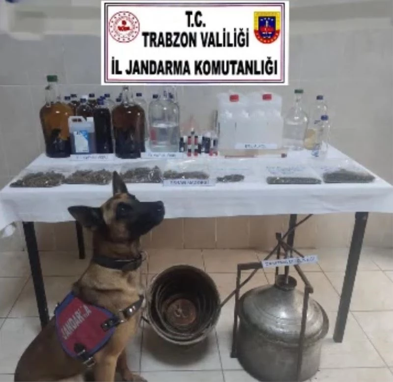 Yatağın altında kavanozlara saklanan uyuşturucu ‘Yatkın’a takıldı
