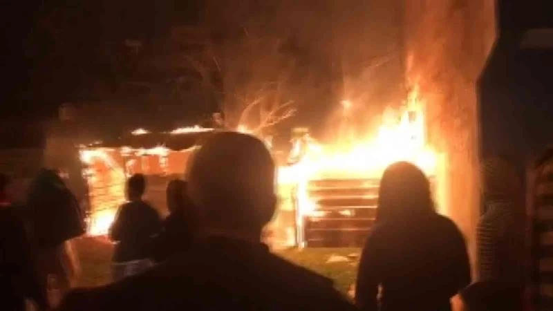 Bursa’da lodosun etkisiyle büyüyen yangın paniğe sebep oldu
