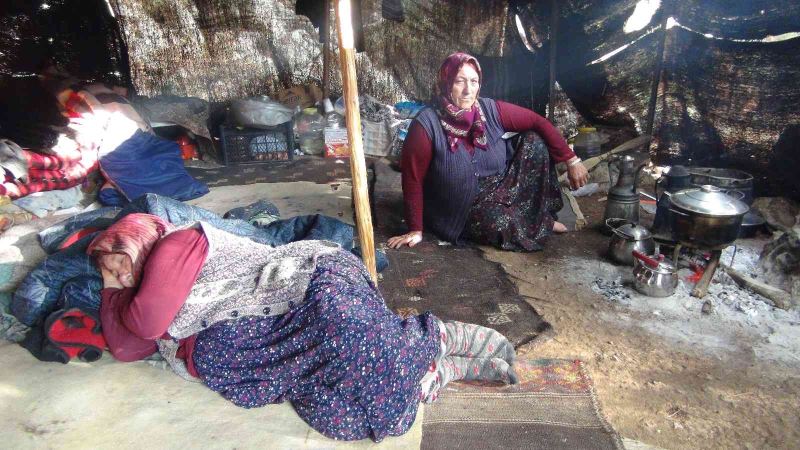 Müslüme’nin yaşadığı kıl çadırı anneanne ve babaanne bekliyor
