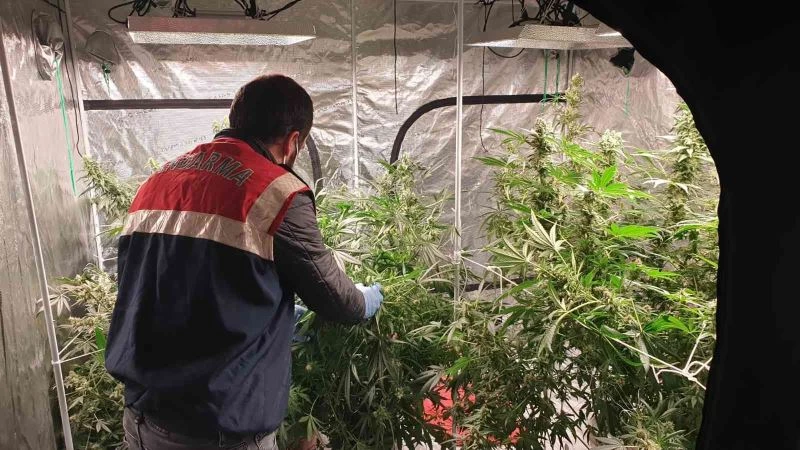 Uyuşturucu serasına çevrilen eve jandarmadan baskın: 3gözaltı
