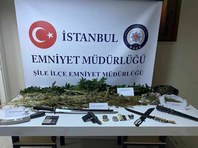 Seraya çevrilen evde hint keneviri: samuray kılıcı, pala, dikenli beyzbol sopası