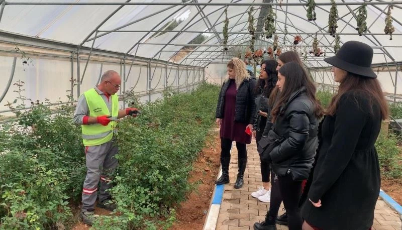 Karagül diyarında hasat zamanı
