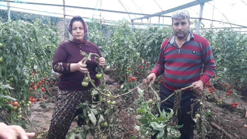 Ne yaptıysa serasını kurtaramadı, cep telefonuyla yaşadıklarını kaydetti
