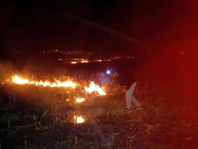 Düzce’de rüzgarın etkisiyle büyüyen yangına müdahale sürüyor
