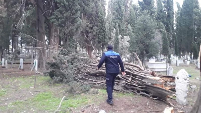 Lodosun hızı 100 kilometreyi geçti, yüz yıllık ağaçlar devrildi
