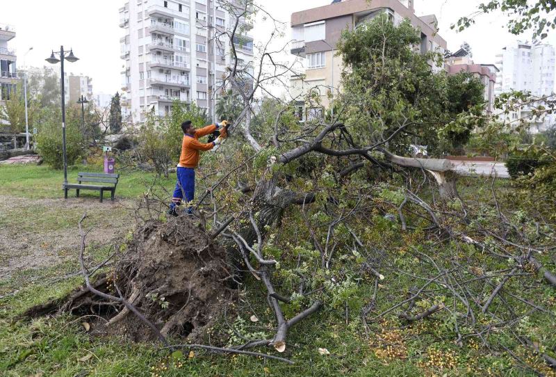 Muratpaşa’da hortumun bıraktığı izler temizleniyor
