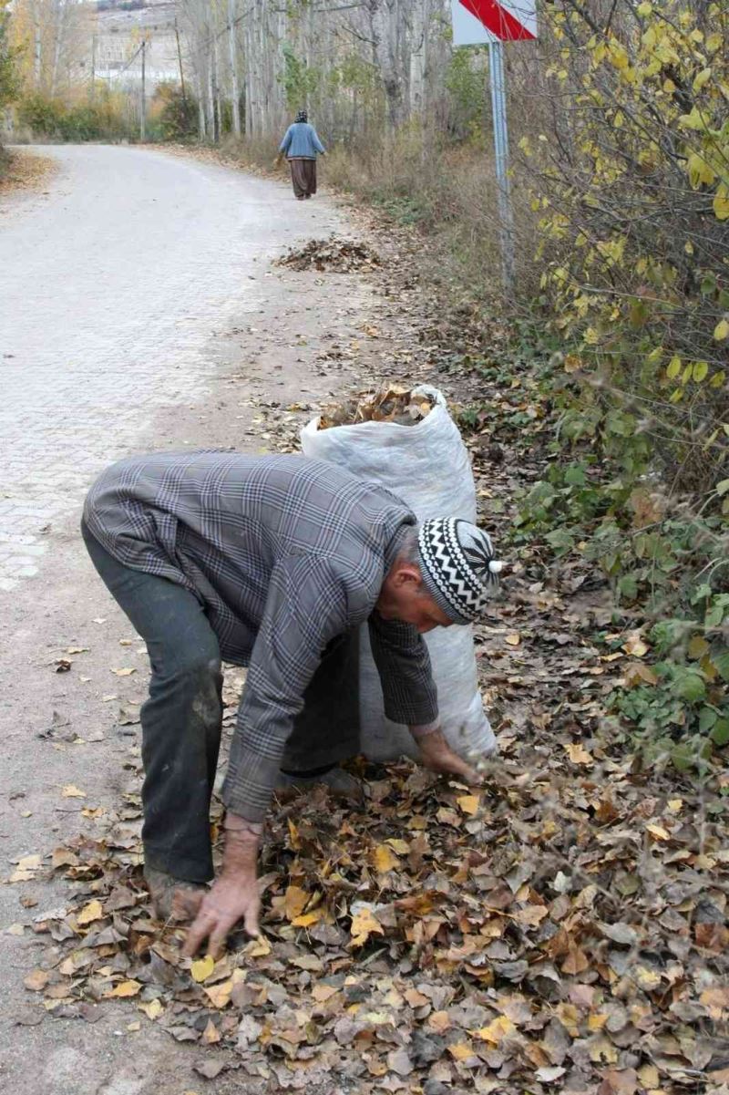 Gazeller toplanıyor
