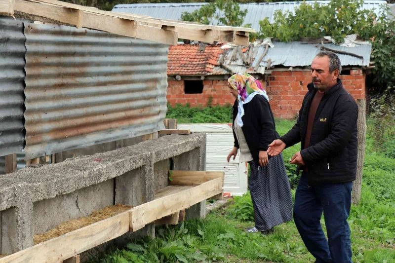 Dolandırdığı yetmedi üstüne para istedi
