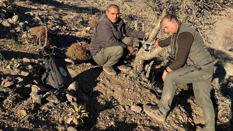 Elazığ’da yaban hayatı ve kaçak avcılar, fotokapanlarla tespit ediliyor
