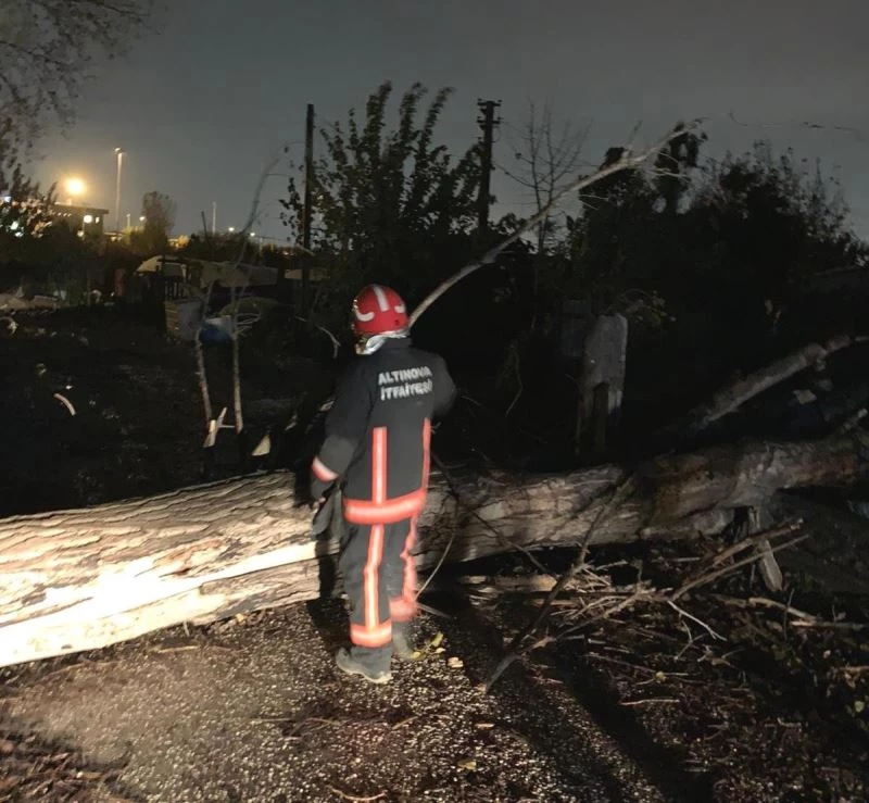 Altınova’da fırtına ağaçların devrilmesine neden oldu
