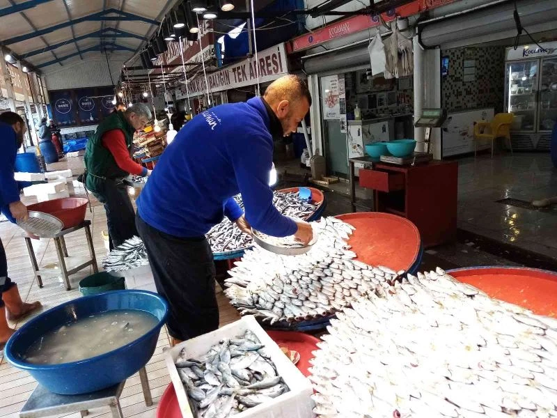 Lodos balık tezgahlarını süpürdü
