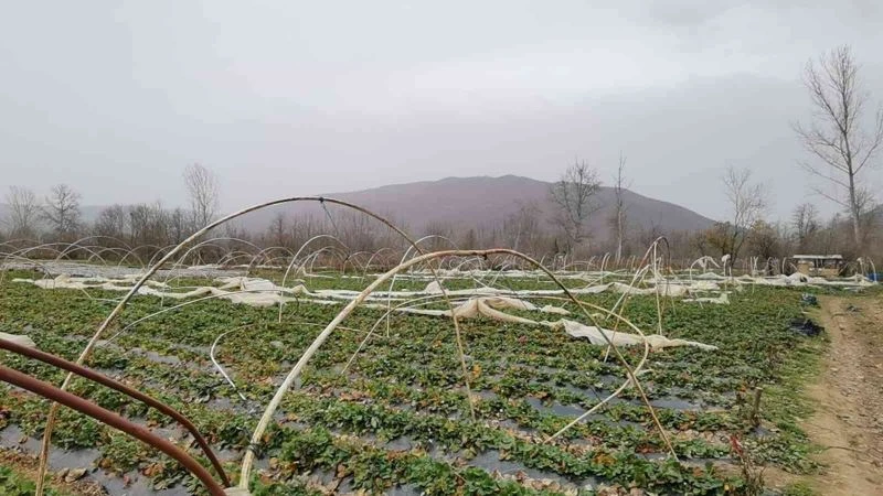 Seralar lodosla parçalandı
